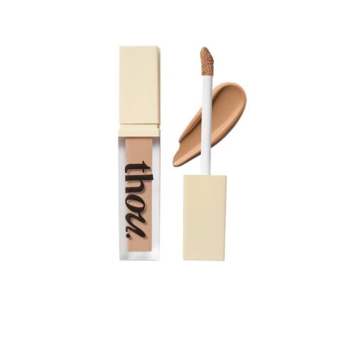 Fresh Finish Concealer